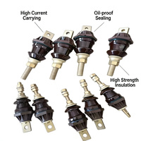Ensemble de douilles en porcelaine pour transformateur 1kV 250A-630A, norme DIN/EN, avec conducteur en cuivre T2 pour transformateurs immergés dans l'huile