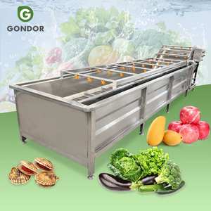 Laveuse multifonctionnelle en acier inoxydable Bubble Ginger Clean pour ail, fèves de cacao, fruits et légumes - Product Image 1