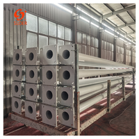 Poste de luz galvanizado personalizado SLOER con brazos dobles o simples de 4m, 5m, 6m, 7m, 8m, 9m, 10m, 11m, 12m para alumbrado público.