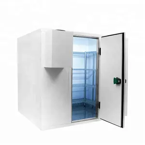 fish freezer cold room storage walking cooler cold room storage cold storage refrigerator freezer