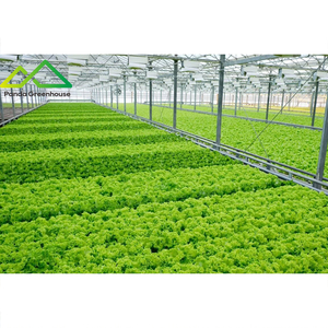 ระบบเรือนกระจกไฮโดรโปนิกส์แบบลอยน้ำ |   ระบบปลูกพืชแบบน้ำลึก (DWC) สำหรับการเพาะปลูกผักใบเขีย<span class=keywords><strong>ว</strong></span>และสมุนไพรให้ผลผลิตสูง - Product Image 2