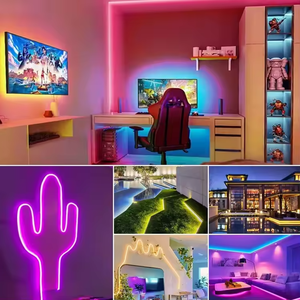 Bande lumineuse LED néon étanche IP67 10m 50m, éclairage extérieur flexible, blanc 3000K 6000K, vert, bleu, rouge - Product Image 6