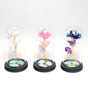 Rose préservée à la main dans un dôme en verre transparent avec éclairage LED Cadeau unique pour toute occasion Fleurs artificielles - Product Image 5