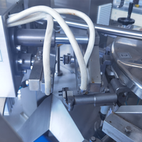 Machine d'étiquetage et d'emballage automatique rotative à plat pour sachets de sauce tomate de qualité alimentaire