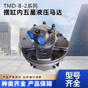มอเตอร์ไฮดรอลิกแบบเฟืองภายในห้าดาว รุ่น Tly Troy Tmd B 2 Series Swing Cylinder สำหรับใช้งานในอุตสาหกรรม - Product Image 5