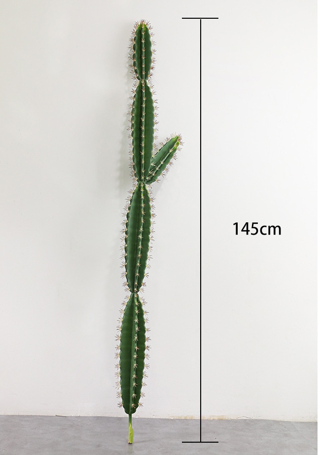 145 cm