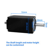 Motor Stepper Hybrid RB Nema11 Kecepatan Rendah Tinggi 51mm Torsi Tinggi 110mNm Kit Motor Stepper CNC untuk Medis Bersertifikasi RoHS