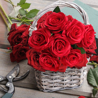 INUNION Fabrik Großhandel Künstliche Rote Rosen Künstliche Rosen Seidenblumen Samt-Kunstblumen