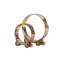 Collier de serrage pivotant robuste en fer galvanisé poli (pouces/métrique) standard avec rapport de test de qualité