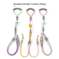 Laisse de luxe à double tête pour animaux de compagnie avec système de marche et anti-enchevêtrement dégradé Fonction souple pour une marche sécurisée du chien