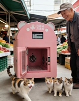 Máquina de Lavado de Mascotas con Burbujas de Hidrógeno, Secado Rápido, Estación de Spa para Perros y Gatos, Uso Profesional en Hospitales de Mascotas