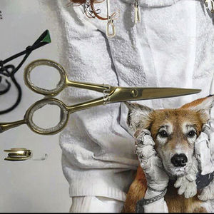 Tijeras de Peluquería Profesionales de Acero Inoxidable para Diestros, para Salón de Belleza, Corte de Cabello, Afiladas como una Navaja - Product Image 3