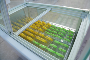 Congelatore Espositore per Gelati e Ghiaccioli da Banco di Alta Qualità, Vendita Diretta dalla Fabbrica - Product Image 6
