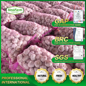 <span class=keywords><strong>Ajo</strong></span> fresco hinese rojo normal púrpura <span class=keywords><strong>ajo</strong></span> blanco puro <span class=keywords><strong>ajo</strong></span> alho garlics precio al por mayor 2023 - Product Image 6