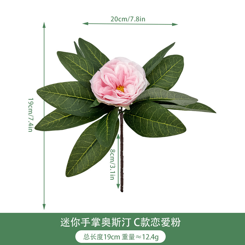Mini palm austin c style love rosa a11433