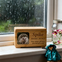 Urnas de Bambú para Cremación de Mascotas, Gatos y Perros, Urnas Conmemorativas de Madera para Guardar Cenizas, Urna para Cremación de Mascotas con Caja para Fotos