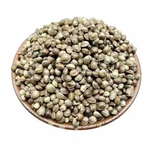 Semillas de Cáñamo Orgánicas Frescas al por Mayor, No Modificadas Genéticamente, Hierbas y Especias Individuales para Uso Medicinal y Comestible - Product Image 4