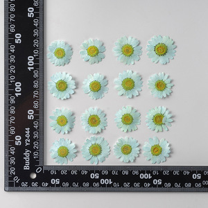 12 pz/confezione Margherite Daisy per Scrapbooking, Resina Epossidica, Bling-bling, <span class=keywords><strong>Fiore</strong></span> Naturale Pressato Ecologico - Product Image 6