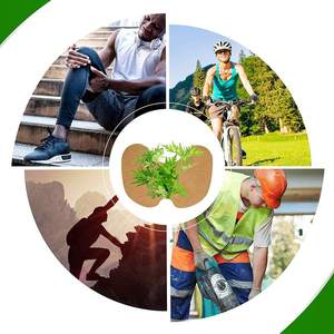 관절염 및 무릎 통증 완화를 위한 허브 발열 패치, 관절 및 근육 관리를 위한 자가 접착식 바디 워머 - Product Image 6