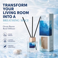Diffuseur à roseaux en rotin 50 ml – Assortiment d'huiles essentielles mélangées, parfum longue durée, coffret cadeau