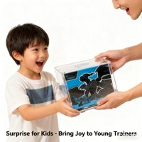 Boîte de présentation en acrylique pour Elite Trainer Box (ETB) et Booster Bundle, avec fermeture magnétique, pour collection et rangement