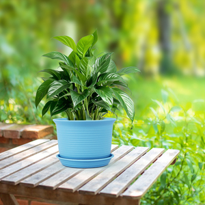 Macetas <span class=keywords><strong>de</strong></span> Plástico Ecológicas y Resistentes <span class=keywords><strong>de</strong></span> Gran Tamaño para Interiores y Balcones, Ideales para Pothos, Rosas y Suculentas - Product Image 5
