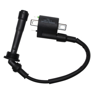 Bobine d'allumage haute tension 125-Ja1-1 pour moto Benelli TRK251 BJ250 TNT25 BN251 - Pièces détachées - Product Image 5