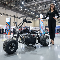 Venta al por mayor de fábrica: Triciclo Go-Kart de 212cc y 4 tiempos con neumáticos de 5 pulgadas, 60 km/h, elegante kart de carreras para niños y adultos, kart de drift.