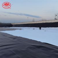 La géomembrane de HDPE/imperméabilisent la chaîne de production d'extrusion de feuille