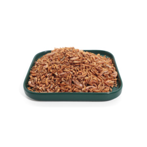 Friandise lyophilisée de gammarus naturel pour l'amélioration de la couleur, pour poissons, tortues, chats, chiens – Vente en gros - Product Image 3