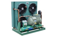 Haute efficacité 25HP allemagne BlTZER compresseur à piston semi-hermétique unité de condensation refroidisseur d'air industriel pour basse température