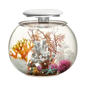 Hete Verkoop Goedkope Acryl Aquarium Aquarium Plastic Aquarium