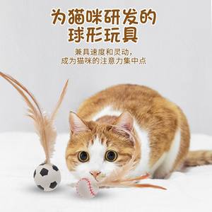 Hualien Season New Internet Red Elastic Sports Cat Toy Ball Pet Spherical Interactive Ball Throwing Toy - Product Image 3