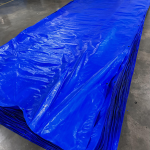 Lonas de lona de PE de laminación de doble cara al mejor precio, color personalizado, hechas en Vietnam, estilo liso para niños y niñas - Product Image 1