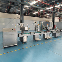 Desenredador Automático de Botellas y Latas de Plástico HL con Motor de Alimentación PLC, Alta Seguridad, Bajo Ruido, Ahorro de Energía y Ecológico
