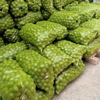 Sac en filet tubulaire Leno en PP avec cordon de serrage pour l'emballage de fruits, légumes, bois de chauffage, fruits de mer et plastique