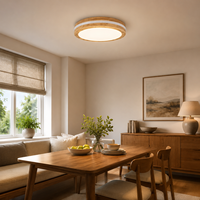 Plafonnier rond encastré avec télécommande, design polyvalent pour la maison, la chambre, la salle à manger, éclairage décoratif