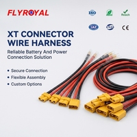 Câble de raccordement XT, faisceau de câbles XT30 XT60 XT90, câble d'alimentation de batterie, faisceau de câblage personnalisé OEM ODM