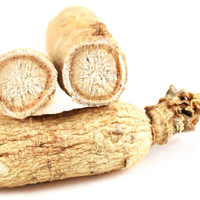 Poudre de Ginseng Américain Naturel en Gros pour Complément Alimentaire – Approvisionnement Direct Usine