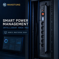 Multiprise C13 C19 avec interrupteurs individuels, protection contre les surtensions et installation en rack pour armoires de serveurs