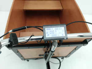 Vélo familial à 3 roues de 250W UB9040E - Product Image 1