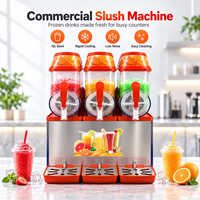 Machine à Slushie Professionnelle 12L avec Réservoir, Distributeur de Boissons Glacées R290 pour Granita, Smoothies, Jus et Thé au Lait