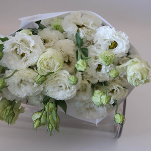 Lisianthus <span class=keywords><strong>Eustoma</strong></span> <span class=keywords><strong>Grandiflorum</strong></span> Recién Cortado al por Mayor para Ramos de Boda, 40-80 cm, <span class=keywords><strong>Eustoma</strong></span> al por Mayor, Flor de Lisianthus Cortada - Product Image 6