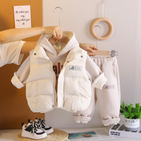 Tenue assortie confortable pour l'hiver pour les tout-petits garçons, sweat-shirt à capuche avec gilet matelassé et pantalon de jogging uni