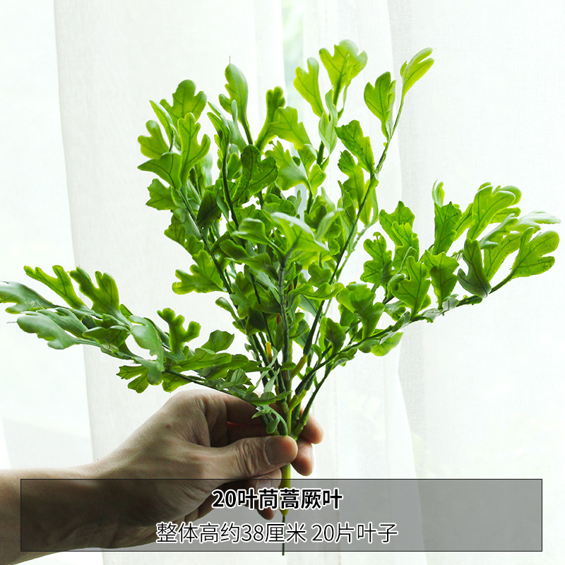 Hoja de crisantemo 20-leaf