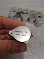 High Power 30X Full Metal Foldable Magnifying Glass Jewelers Eye Loupe Portable Pocket Magnifier for Gems Jewelry Coins