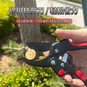 Bypass <b>Pruner</b> Stainless Steel 20-30 Mm Adjustable Head Garden Shears For <b>Tree</b> Flower Trimming - Product Image 4