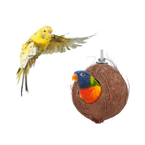 Nichoir pour animaux de compagnie bricolage à motif solide pour perroquet et <span class=keywords><strong>hamster</strong></span> nid d'élevage et <span class=keywords><strong>cage</strong></span> à oiseaux meubles et maisons - Product Image 1