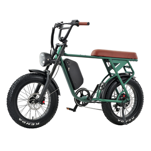 Batterie au lithium pour vélo de 20 pouces 500W 750W de bonne qualité, OEM&ODM, pour adultes, pour la ville et la route, pour les trajets quotidiens, EB2001, vélo de bonne qualité - Product Image 2