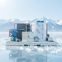 Nueva Tecnología Haiyue, Máquina de Hielo en Escamas de Agua Dulce de 8 Toneladas, Máquina Industrial de Hielo en Escamas, Máquina Comercial de Hielo en Escamas